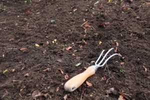 Preparar o solo para plantar alho